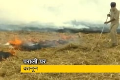 पराली जलाने पर आएगा कानून, केंद्र ने सुप्रीम कोर्ट को दी जानकारी पराली जलाने पर आएगा कानून, केंद्र ने सुप्रीम कोर्ट को दी जानकारी