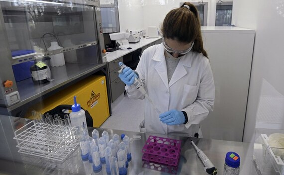 Oxford Covid Vaccine Draws Immune Response Among Young, Old: AstraZeneca Oxford Covid Vaccine Draws Immune Response Among Young, Old: AstraZeneca
