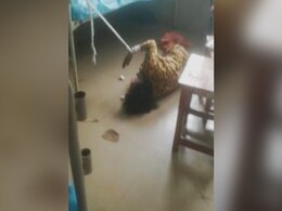 Congress MP Writes To Kerala Minister Over Treatment Of Covid Patient, 67 Congress MP Writes To Kerala Minister Over Treatment Of Covid Patient, 67