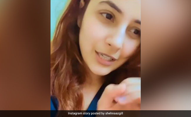 शहनाज गिल को दूर का दिखाई देना हुआ कम, Video शेयर कर जाहिर किया अपना दुख