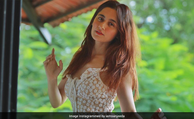 टीवी एक्ट्रेस Sanjeeda Shaikh इस अंदाज में आईं नजर, वायरल हुईं Photos