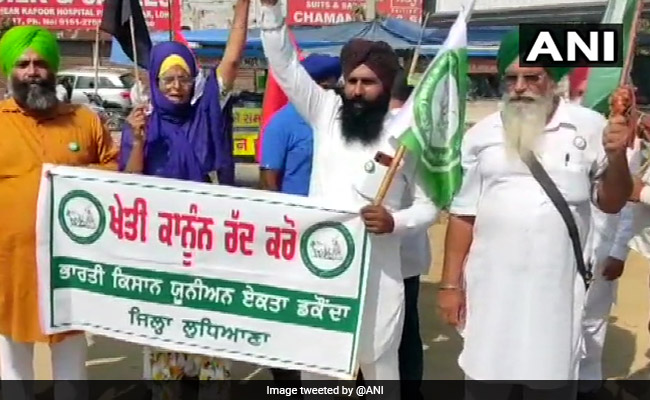 Punjab Farmers Hold Protests Over New Farm Laws, Burn Effigies Of PM