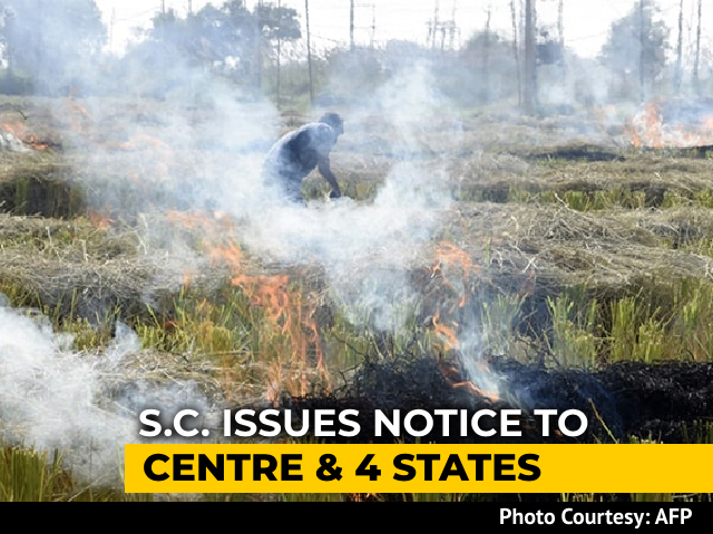 Top Court Notice To Centre On Plea To Ban Stubble Burning In Punjab, Haryana