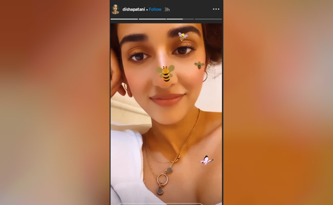 दिशा पटानी के नाक के ऊपर बैठी 'मधुमक्खी', VIDEO ने खींचा सबका ध्यान