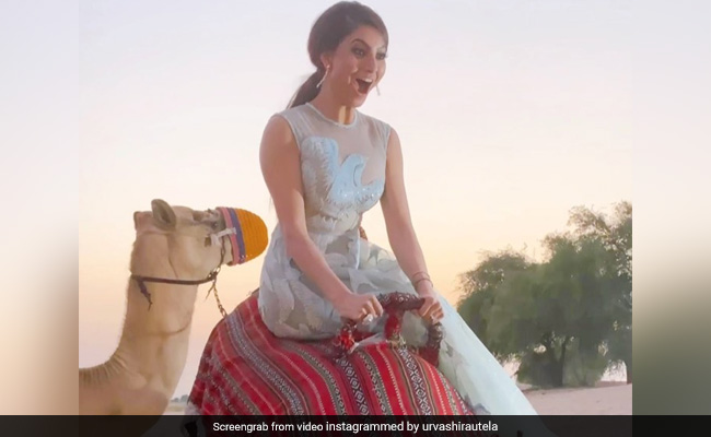 Urvashi Rautela ने की ऊंट की सवारी, Video में चिल्लाते हुए दोस्तों को कहा- बाय...