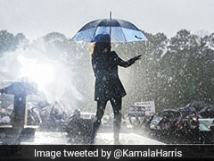 This Kamala Harris Pic Needs No Caption But Got A Genius One Anyway