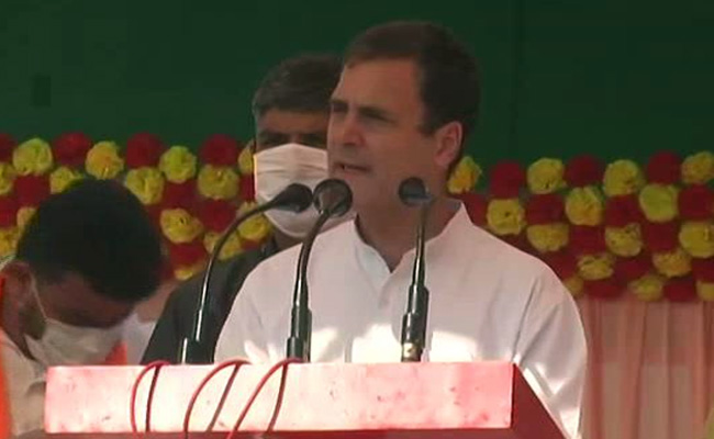 In Bihar, Rahul Gandhi's 'Pakora' Banter With Crowd And Digs At PM Modi In Bihar, Rahul Gandhi's 'Pakora' Banter With Crowd And Digs At PM Modi