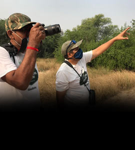Over 300 Species Enchant Birdwatchers At 3-Day Event In Rajasthan