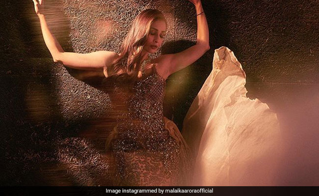 मलाइका अरोड़ा ने इस अंदाज में शेयर की फोटो, फैन्स बोले- आपका जवाब नहीं..देखें Photos
