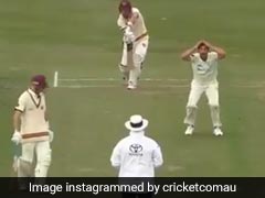 'Holy Moly': Starc Shell-Shocked As Umpire Turns Down 2 Appeals. Watch