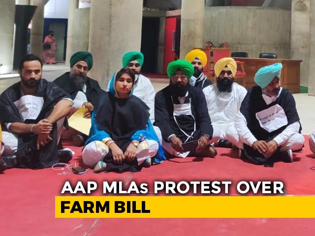 Punjab Aam Aadmi Party MLAs Spend Night In Assembly Over Farm Bill