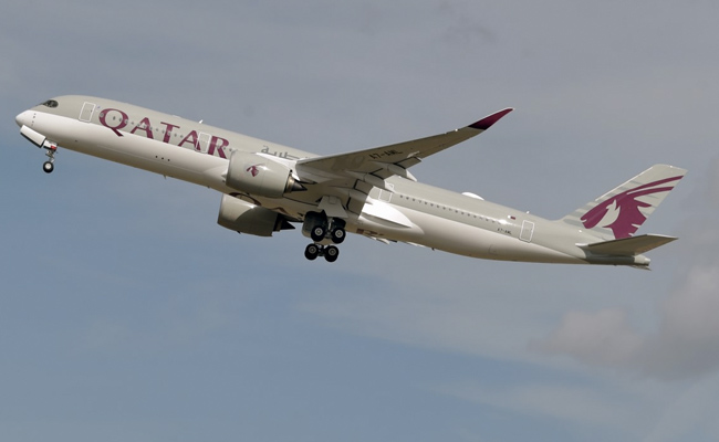 Qatar Airways Vegetarian Passenger Chokes To Death After Being Told To 'Eat Around' Meat-Based Meal