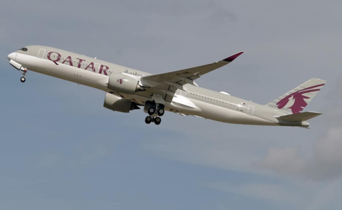Qatar Airways Vegetarian Passenger Chokes To Death After Being Told To 'Eat Around' Meat-Based Meal