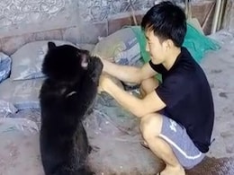 Take Care Of Luba: Arunachal Boy's Tearful Goodbye To Rescued Bear Cub Take Care Of Luba: Arunachal Boy's Tearful Goodbye To Rescued Bear Cub