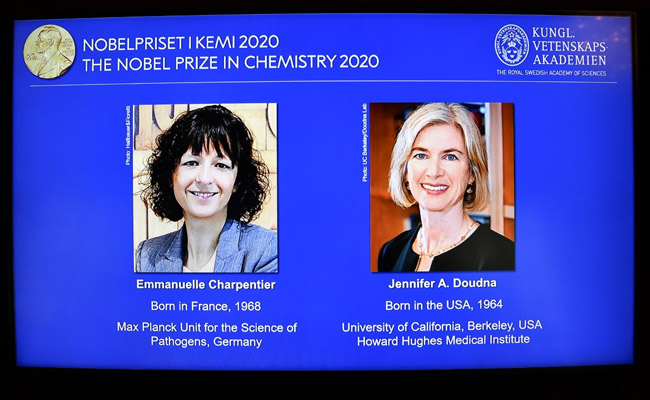 Women Gain Ground In Nobel Man's World
