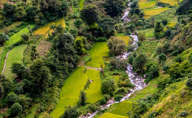 लॉकडाउन में हो गया तनाव, तो घूम आएं देहरादून की यह खूबसूरत जगह, झरने और प्राकृतिक नजारों के बीच मिलेगा सुकून