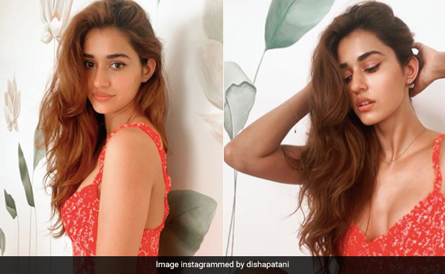 Disha Patani In A Chic Floral Dress Proves It Can Be Summer All Year Long