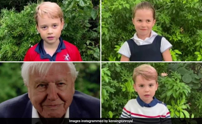 "Do You Like Spiders?": Royal Children Quiz David Attenborough In Viral Video