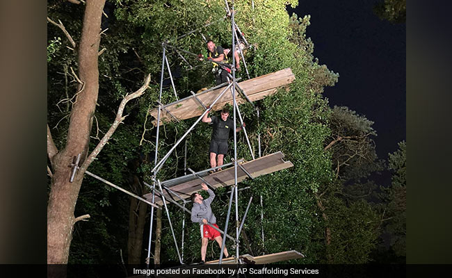 When A Town In Wales Came Together To Rescue A Cat From 40-Foot Tree