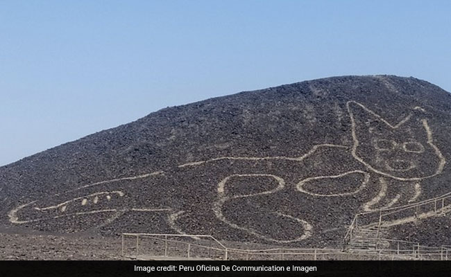 2,000-Year-Old Cat Figure Found Etched In Peru Desert