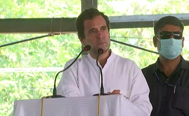 After Punjab, Rahul Gandhi To Hold Tractor Rallies In Haryana On October 6, 7