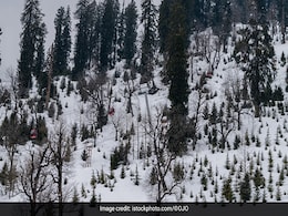 Hill Stations in India: स्नोफॉल का मजा लेने के लिए भारत के इन हिल स्टेशन पर जरूर जाएं Hill Stations in India: स्नोफॉल का मजा लेने के लिए भारत के इन हिल स्टेशन पर जरूर जाएं