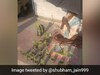 Help Pours In For Elderly Man Selling Plants On The Roadside In Bengaluru Help Pours In For Elderly Man Selling Plants On The Roadside In Bengaluru
