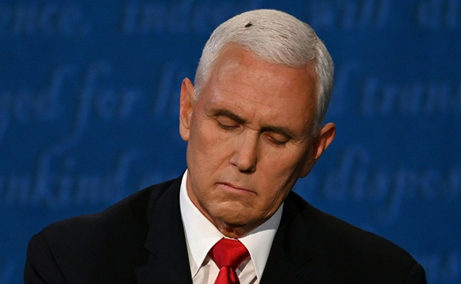 "3 Debaters Now On Stage": Fly On Pence's Hair Triggers Twitter Trend