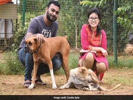 Odisha Couple Gets Married, Celebrates By Feeding 500 Stray Dogs Odisha Couple Gets Married, Celebrates By Feeding 500 Stray Dogs