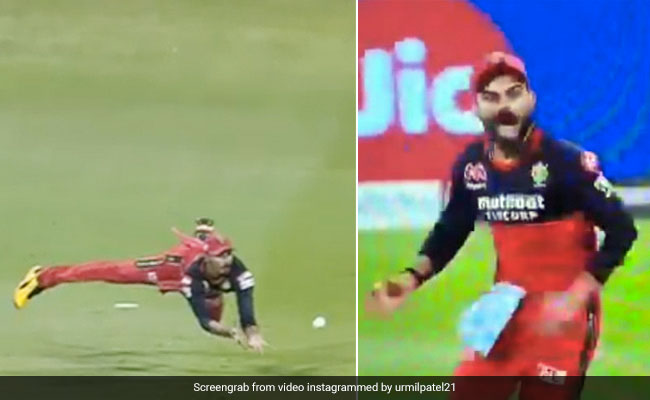 IPL 2020: देवदत्त पडिक्कल ने हवा में उड़ते हुए पकड़ा खतरनाक कैच, देखते ही कोहली ने किया ऐसा - देखें Video