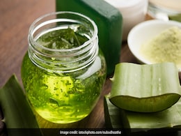 केमिकल वाले Aloe vera gel लगाने से बेहतर है होममेड, बनाने का तरीका है बहुत आसान, लीजिए जान केमिकल वाले Aloe vera gel लगाने से बेहतर है होममेड, बनाने का तरीका है बहुत आसान, लीजिए जान