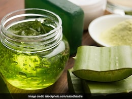 घर पर ताजा एलोवेरा जेल बनाने के लिए अपनाएं ये तरीका, मिनटों में होगा रेडी घर पर ताजा एलोवेरा जेल बनाने के लिए अपनाएं ये तरीका, मिनटों में होगा रेडी