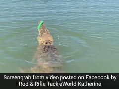 Watch What Happened When A Fisherman Accidentally Hooked A Crocodile