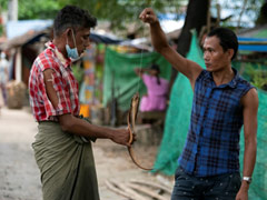 'Eating Rats And Snakes': Myanmar Slums Look For Food In Open Drains