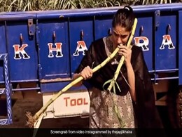 पंजाबी एक्ट्रेस जापजी खैरा ने खेत में घुसकर तोड़ा गन्ना और फिर यूं किया एंजॉय, Viral हुआ Video पंजाबी एक्ट्रेस जापजी खैरा ने खेत में घुसकर तोड़ा गन्ना और फिर यूं किया एंजॉय, Viral हुआ Video
