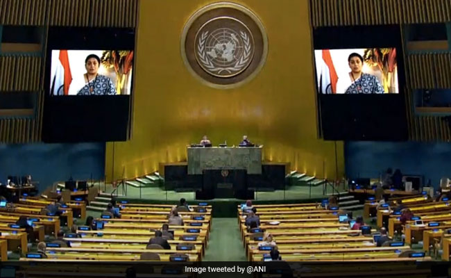 India's Laws "Strong Enablers" Of Women Empowerment: Smriti Irani At UN