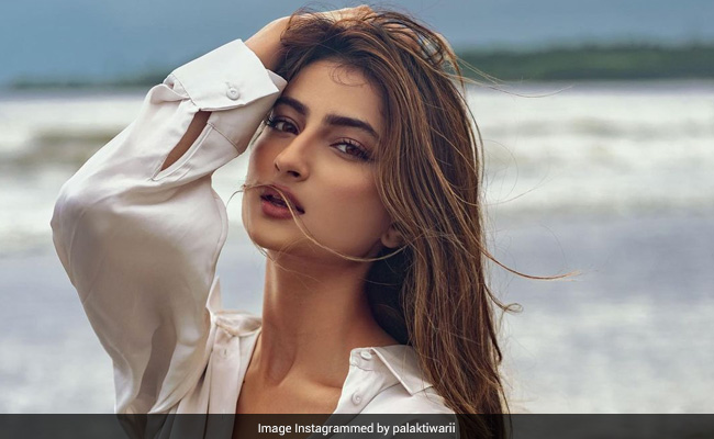 पलक तिवारी ने बीच पर कराया फोटोशूट, श्वेता तिवारी की बेटी ने Video में दिखाया ग्लैमरस अंदाज