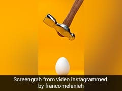 Video Of Unbreakable Egg Has Netizens Confused - Watch It To Believe It Video Of Unbreakable Egg Has Netizens Confused - Watch It To Believe It