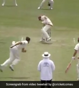 Watch: Mitchell Starc Hits Marnus Labuschagne With A Vicious Bouncer Watch: Mitchell Starc Hits Marnus Labuschagne With A Vicious Bouncer