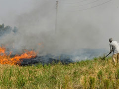 Supreme Court's Big Move On Stubble Burning, Declines Centre's Request