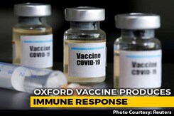 Oxford Covid Vaccine Draws Immune Response Among Young, Old: AstraZeneca Oxford Covid Vaccine Draws Immune Response Among Young, Old: AstraZeneca