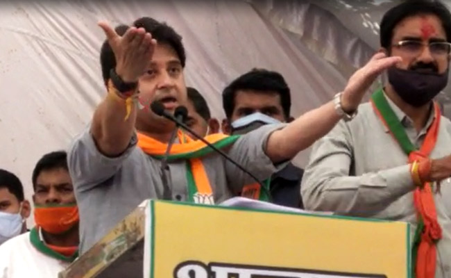 <i>"Haan, Main Kutta Hoon"</i>: Jyotiraditya Scindia Says Kamal Nath Called Him "Dog"