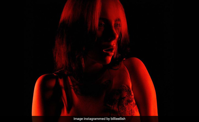 Body Shamed For Wearing A Tank Top, Billie Eilish Posted This