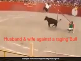 मरखने सांड़ के सामने लगा दी पति-पत्नी ने जान की बाजी, Video शेयर कर सुनील ग्रोवर बोले- बाप रे... मरखने सांड़ के सामने लगा दी पति-पत्नी ने जान की बाजी, Video शेयर कर सुनील ग्रोवर बोले- बाप रे...