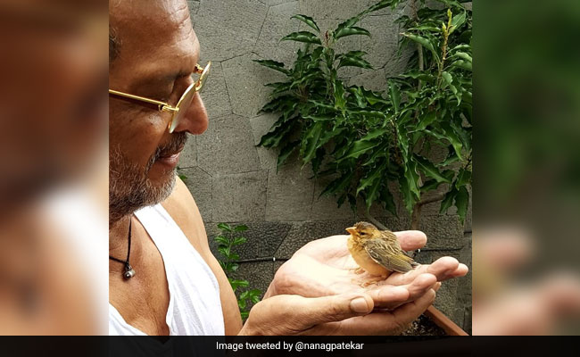 नाना पाटेकर के हाथ पर बैठी नन्ही चिड़िया, फोटो हुई वायरल तो फैन्स बोले- बॉलीवुड का सबसे...