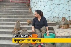 गुवाहाटी : आसमां बेगम 7 महीने लाई बंदरों के लिए खाना गुवाहाटी : आसमां बेगम 7 महीने लाई बंदरों के लिए खाना