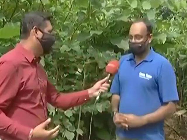 Indian Navy Develops An Urban Forest In Mumbai