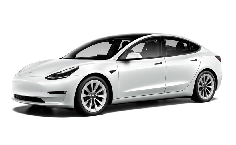 Tesla's Self Driving Beta Detects & Avoids A Deer Crossing The Road&nbsp;