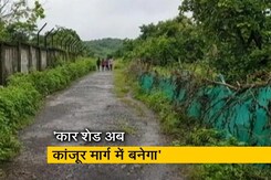 सिटी एक्सप्रेस : आरे में नहीं बनेगा कार शेड, सीएम उद्धव ठाकरे ने किया ऐलान सिटी एक्सप्रेस : आरे में नहीं बनेगा कार शेड, सीएम उद्धव ठाकरे ने किया ऐलान