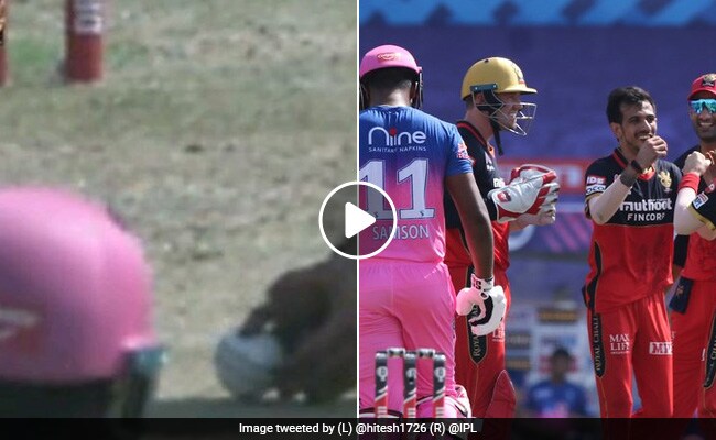 IPL 2020 चहल ने सैमसन का लिया एकदम 'हैरान' करने वाला कैच, लेकिन अंपायर के फैसले पर उठे सवाल..देखें Video